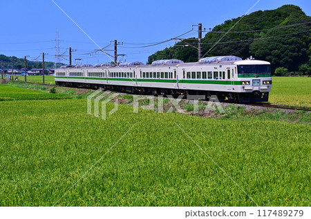 185系列C1編隊穿越鄉村 185系列C1編隊穿越鄉村 117489279