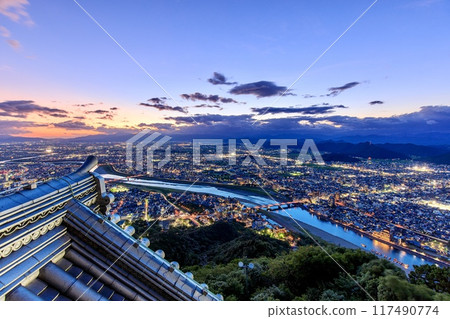 岐阜市、岐阜城夜景(長良川方向) 岐阜市、岐阜城夜景(長良川方向) 117490774
