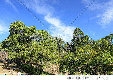 Matsue Castle in summer in Matsue City, Shimane Prefecture 117490948