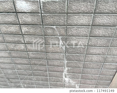 Efro coming out of a crack in a tile wall 117491149