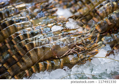 新鮮冰鎮大草蝦 新鮮冰鎮大草蝦 117491330