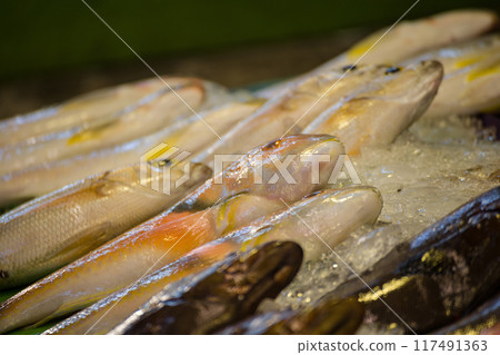 新鮮海魚市場 117491363