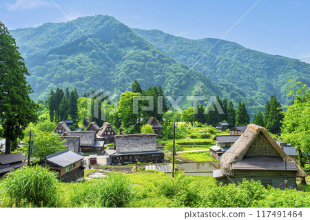 富山縣五簇山相倉合掌造村，從世界遺產正念寺上的展望台眺望的風景 117491464
