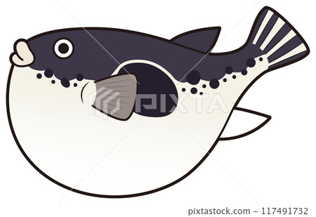 Tiger pufferfish 117491732