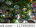 Umbrella sky 117492691