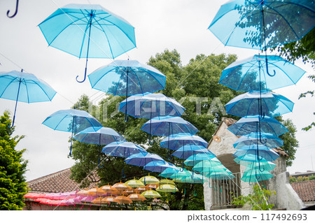 Colorful umbrella 117492693