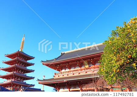 Scenery of Sensoji Temple, Taito Ward, Tokyo Scenery of Sensoji Temple, Taito Ward, Tokyo 117492781