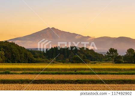 Bird sea mountain at sunset Bird sea mountain at sunset 117492902