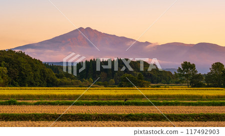Bird sea mountain at sunset Bird sea mountain at sunset 117492903