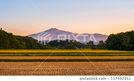 鳥在日落的海山 117492912