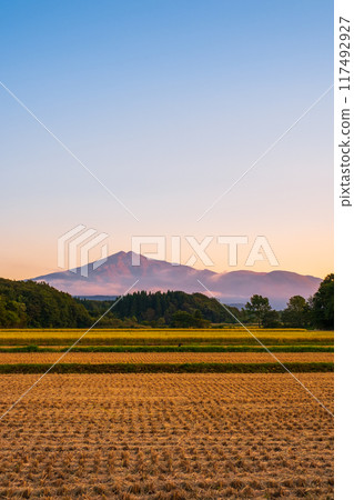 Bird sea mountain at sunset 117492927