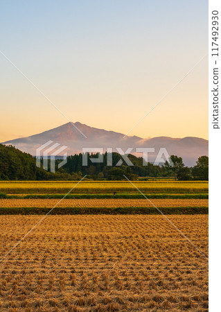 鳥在日落的海山 鳥在日落的海山 117492930