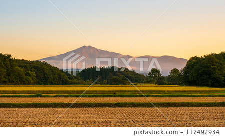Bird sea mountain at sunset Bird sea mountain at sunset 117492934
