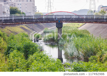 A river flowing through a city covered in sediment and weeds A river flowing through a city covered in sediment and weeds 117492986