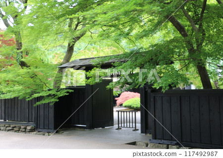 保留角館武士宅邸遺跡的建築 保留角館武士宅邸遺跡的建築 117492987