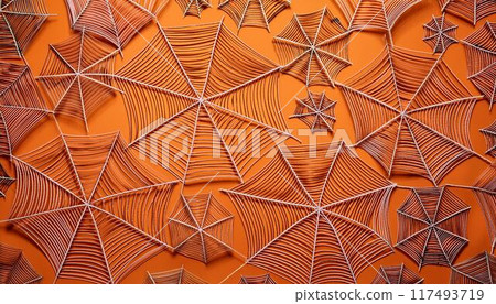 蜘蛛網背景影像 117493719