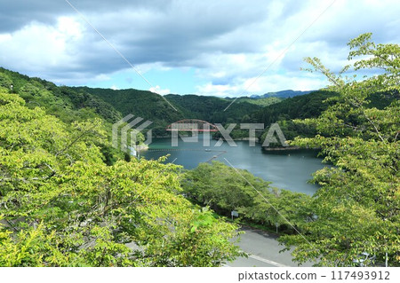 A bridge in the depths of fresh greenery 117493912