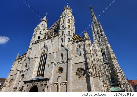 St. Stephen's Cathedral in the center of the city, a symbol of the Vienna Historical District, a World Heritage Site in Austria, Central Europe St. Stephen's Cathedral in the center of the city, a symbol of the Vienna Historical District, a World Heritage Site in Austria, Central Europe 117493919
