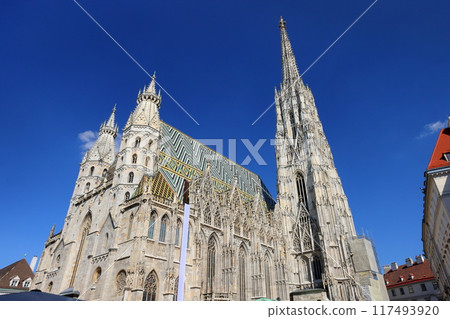 St. Stephen's Cathedral in the center of the city, a symbol of the Vienna Historical District, a World Heritage Site in Austria, Central Europe 117493920