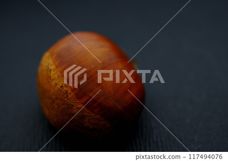 Chestnuts_Autumn 117494076