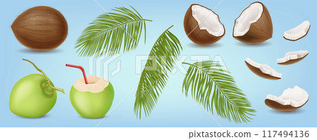 Coconut fruits and palm leaves realistic vector images 117494136