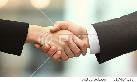 Handshake to close a business deal - a moment of trust between man and woman 117494155