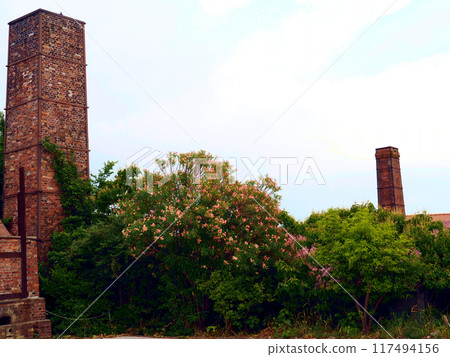 Tokoname Castle walking path 117494156