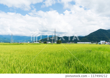 The vast rural landscape and townscape behind the Aeon Muikamachi store, clear blue summer sky, Minamiuonuma City, Niigata Prefecture The vast rural landscape and townscape behind the Aeon Muikamachi store, clear blue summer sky, Minamiuonuma City, Niigata Prefecture 117494212