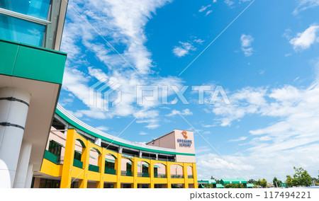 新潟縣長岡市千秋河畔千秋外景,陽光明媚的夏日藍天 新潟縣長岡市千秋河畔千秋外景,陽光明媚的夏日藍天 117494221