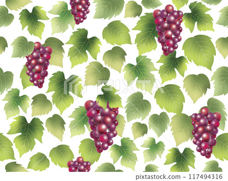 葡萄無縫模式 F-1 117494316