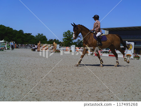 Equestrian 117495268