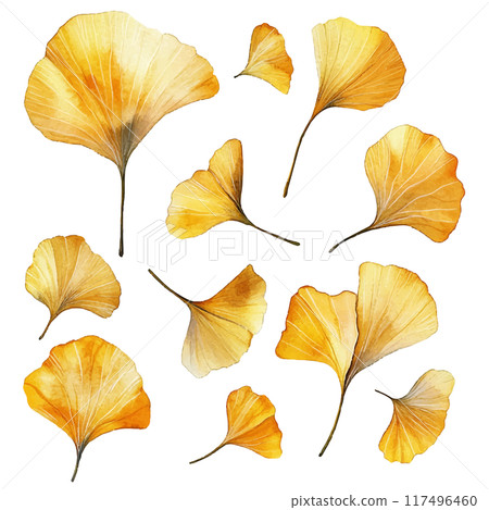 水彩風格銀杏葉套裝 117496460