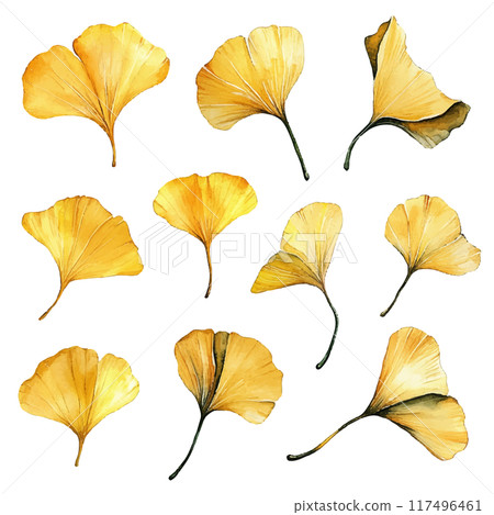 水彩風格銀杏葉套裝 水彩風格銀杏葉套裝 117496461