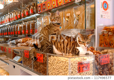 香港西德助的一家高級乾貨店裡，一隻貓在看守腰果。 117496577