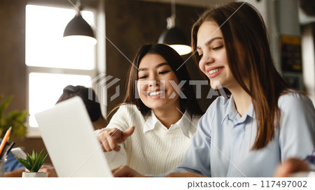 Education concept. Happy students with laptop networking in library, free space 117497002