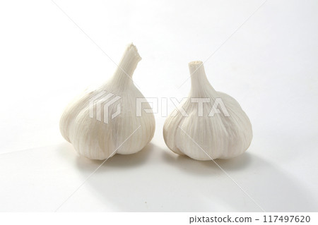 新鮮大蒜 117497620