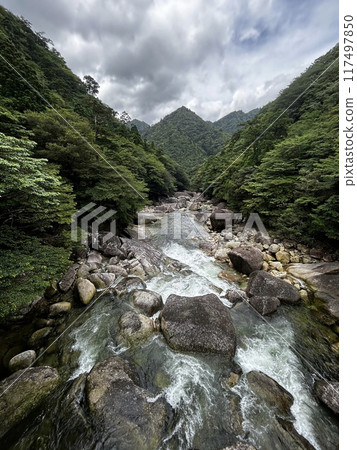 The Jomonsugi, Yakushima, is a giant cedar tree oldest tree. Trekking route from the Arakawa trailhead to Takatsuka hut. 117497850