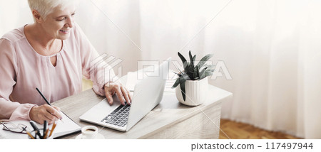 Mature working lady making notes, using laptop, planing her day, cropped, copy space 117497944