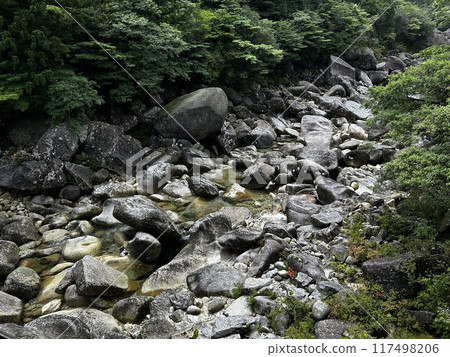 The Jomonsugi, Yakushima, is a giant cedar tree oldest tree. Trekking route from the Arakawa trailhead to Takatsuka hut. 117498206