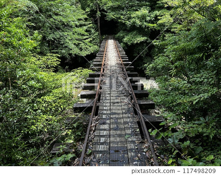 The Jomonsugi, Yakushima, is a giant cedar tree oldest tree. Trekking route from the Arakawa trailhead to Takatsuka hut. The Jomonsugi, Yakushima, is a giant cedar tree oldest tree. Trekking route from the Arakawa trailhead to Takatsuka hut. 117498209
