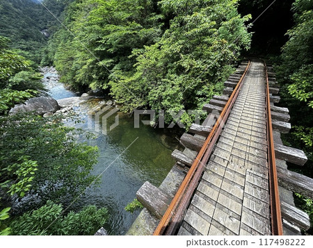 The Jomonsugi, Yakushima, is a giant cedar tree oldest tree. Trekking route from the Arakawa trailhead to Takatsuka hut. 117498222