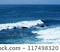 Ocean wave image 117498320
