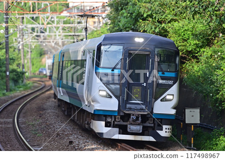 東海道本線 睡川-早川 JR 東日本 E257 系列 2000 系列 NA-13 編組(大宮)湘南 東海道本線 睡川-早川 JR 東日本 E257 系列 2000 系列 NA-13 編組(大宮)湘南 117498967