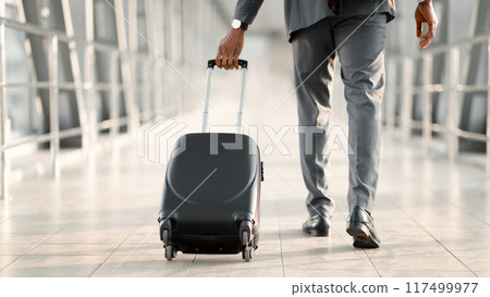 Businessman At Airport Moving To Terminal Gate For Business Trip, Back View Businessman At Airport Moving To Terminal Gate For Business Trip, Back View 117499977