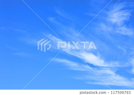 Summer Sky 2 117500783