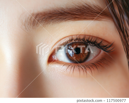 Close up of a woman's eye Close up of a woman's eye 117500977