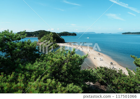 Shodoshima's Angel Road (Angel's Walkway) Shodoshima's Angel Road (Angel's Walkway) 117501066