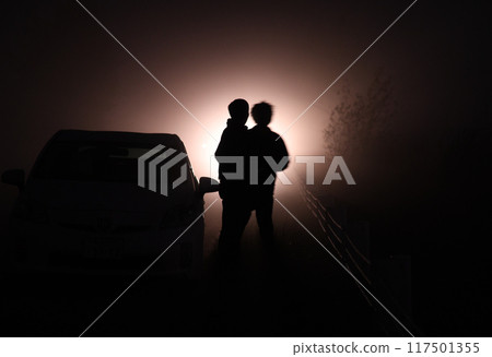 Two silhouettes standing in the light 117501355