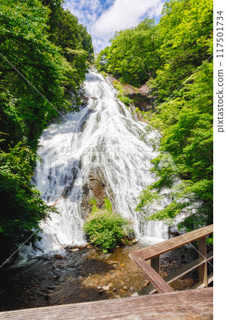 夏日綠樹下閃閃發光的瀑布 117501734