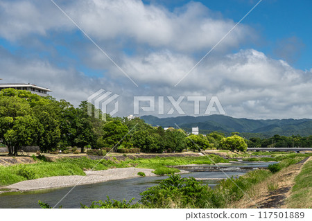 盛夏的京都鴨川風景 117501889